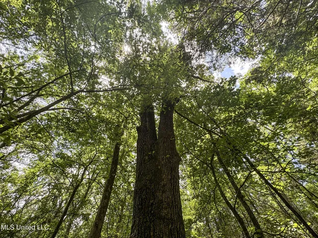 $688,880 | Pine Lodge Road Road, Batesville, MS 38606