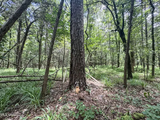 $688,880 | Pine Lodge Road Road, Batesville, MS 38606