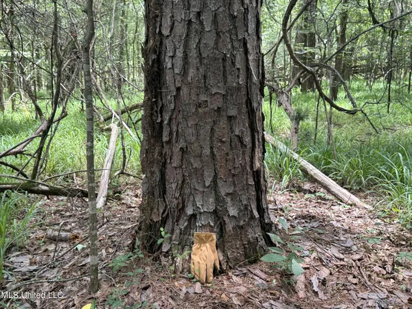 $688,880 | Pine Lodge Road Road, Batesville, MS 38606