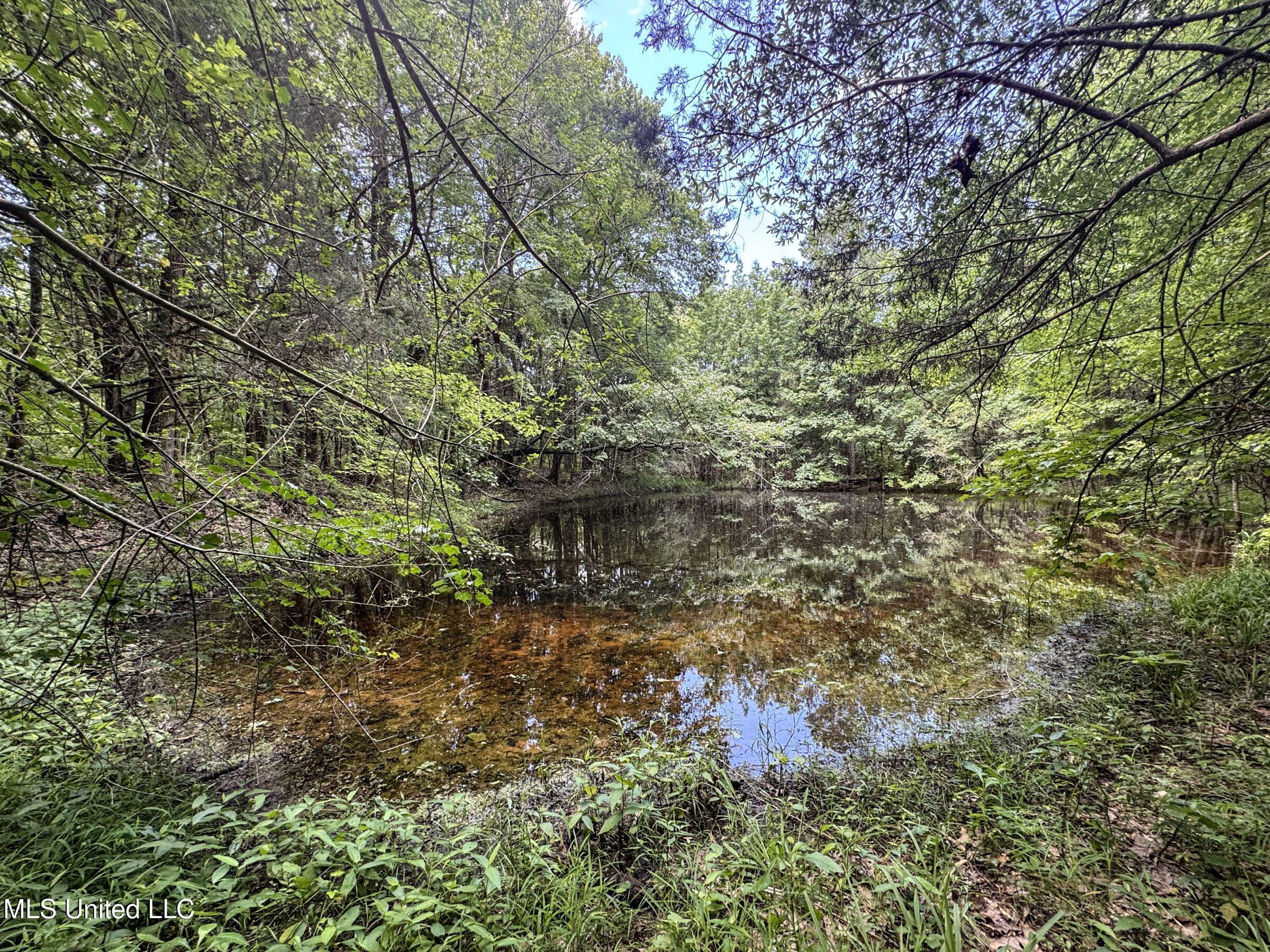 Pine Lodge Road Road Batesville, MS 38606 - Photo 87 of 99 4pleur40