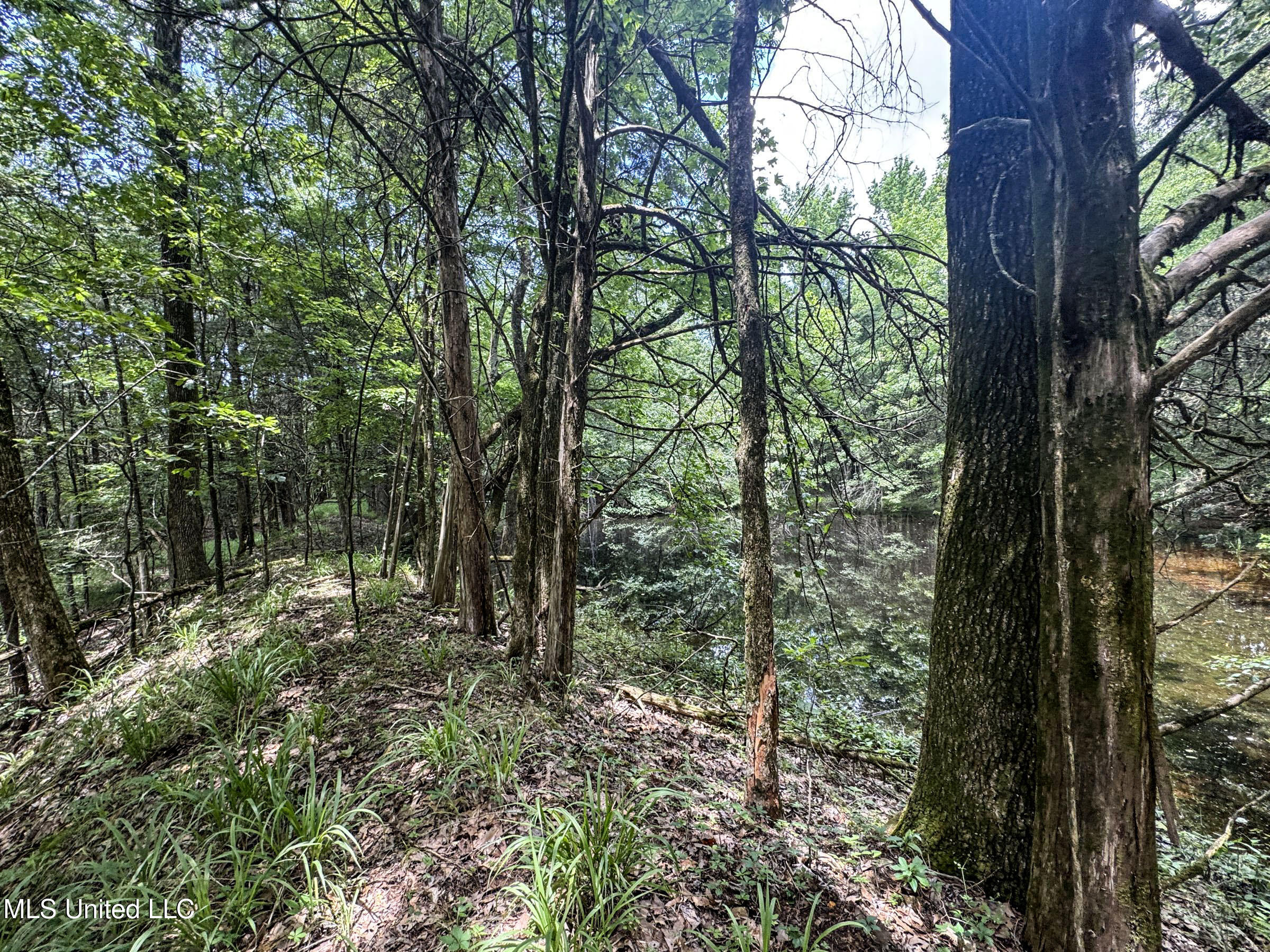 Pine Lodge Road Road Batesville, MS 38606 - Photo 88 of 99 4pleur41