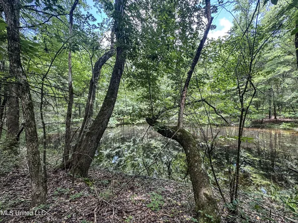 $688,880 | Pine Lodge Road Road, Batesville, MS 38606