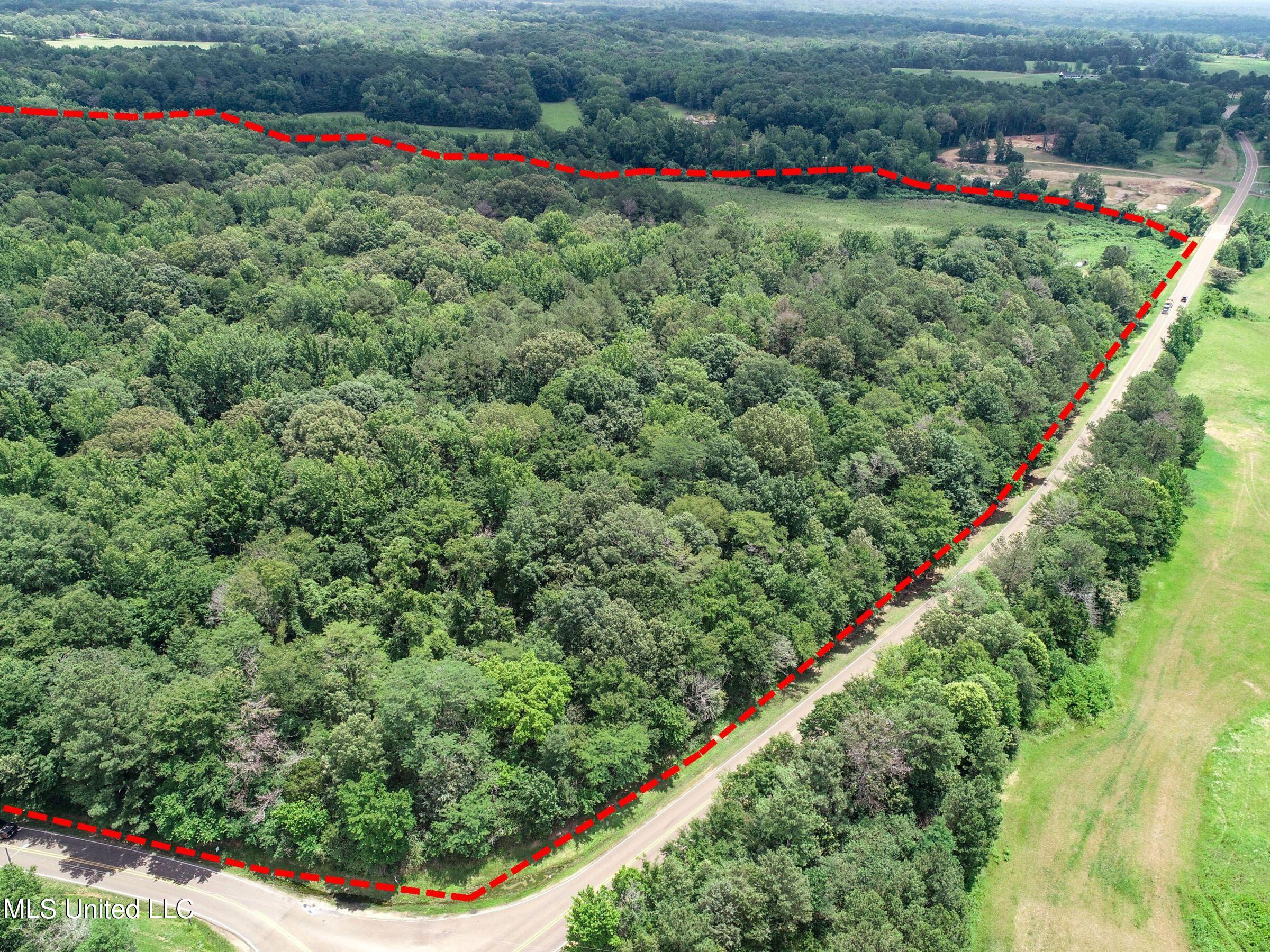 Pine Lodge Road Road Batesville, MS 38606 - Photo 9 of 99 3pleur32