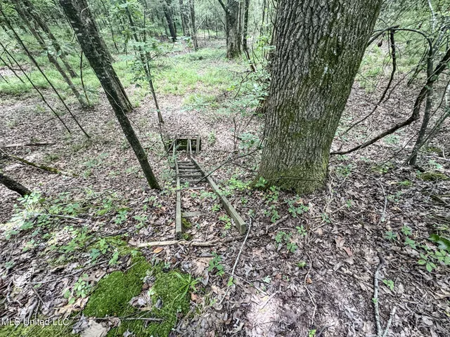 $688,880 | Pine Lodge Road Road, Batesville, MS 38606