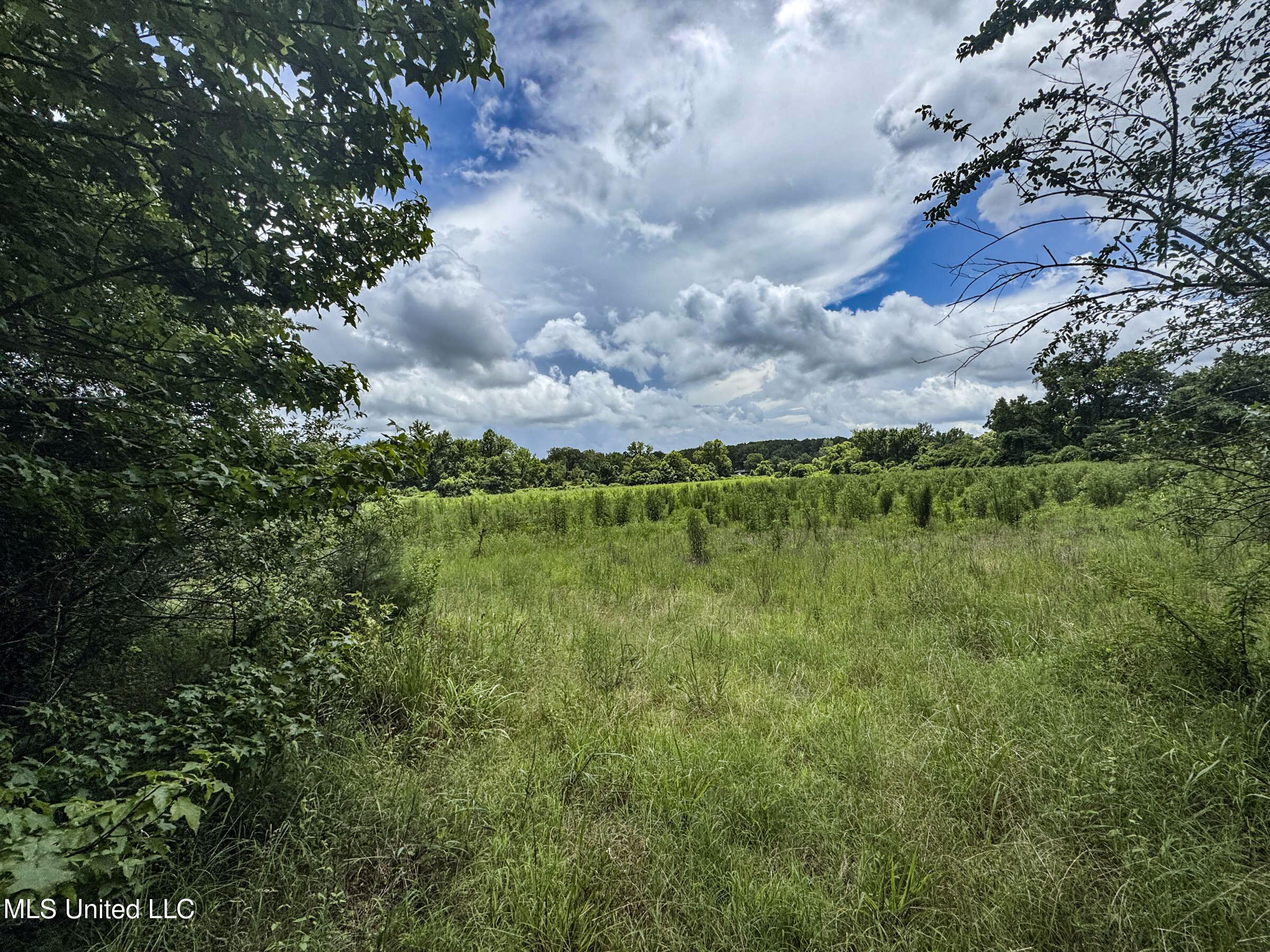 Pine Lodge Road Road Batesville, MS 38606 - Photo 92 of 99 4pleur48