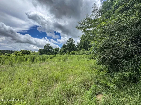 $688,880 | Pine Lodge Road Road, Batesville, MS 38606