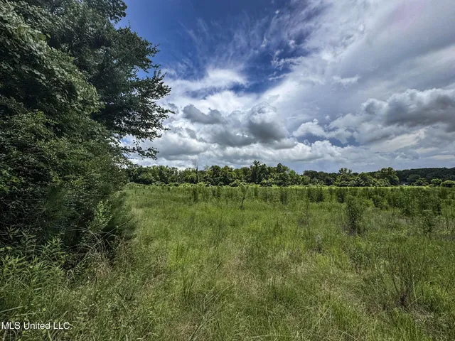 $688,880 | Pine Lodge Road Road, Batesville, MS 38606