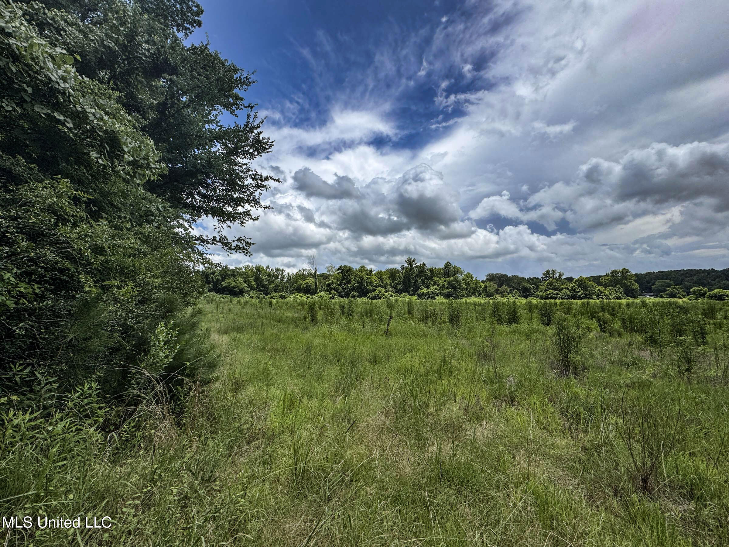 Pine Lodge Road Road Batesville, MS 38606 - Photo 94 of 99 4pleur50