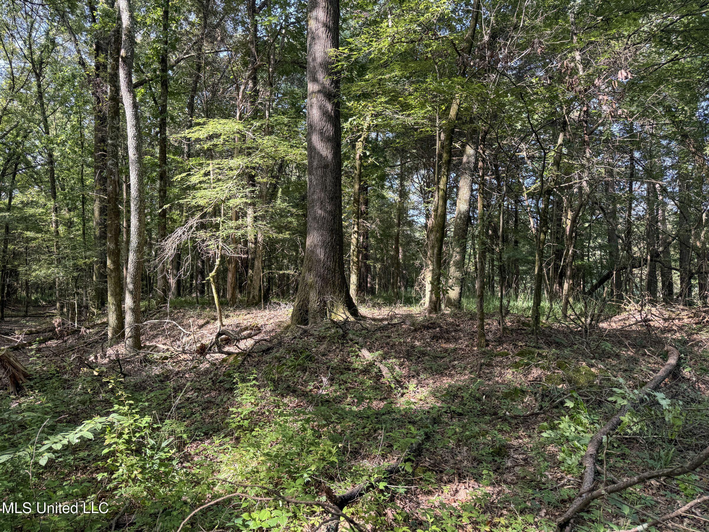 Pine Lodge Road Road Batesville, MS 38606 - Photo 96 of 99 5pleur2