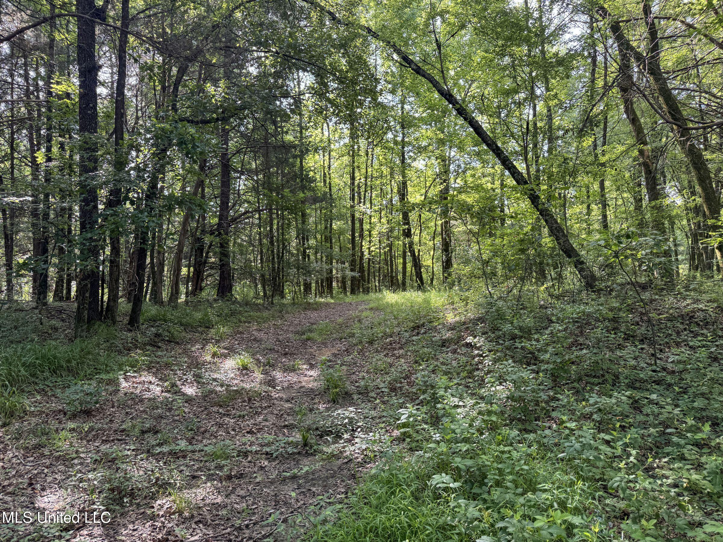Pine Lodge Road Road Batesville, MS 38606 - Photo 97 of 99 5pleur3