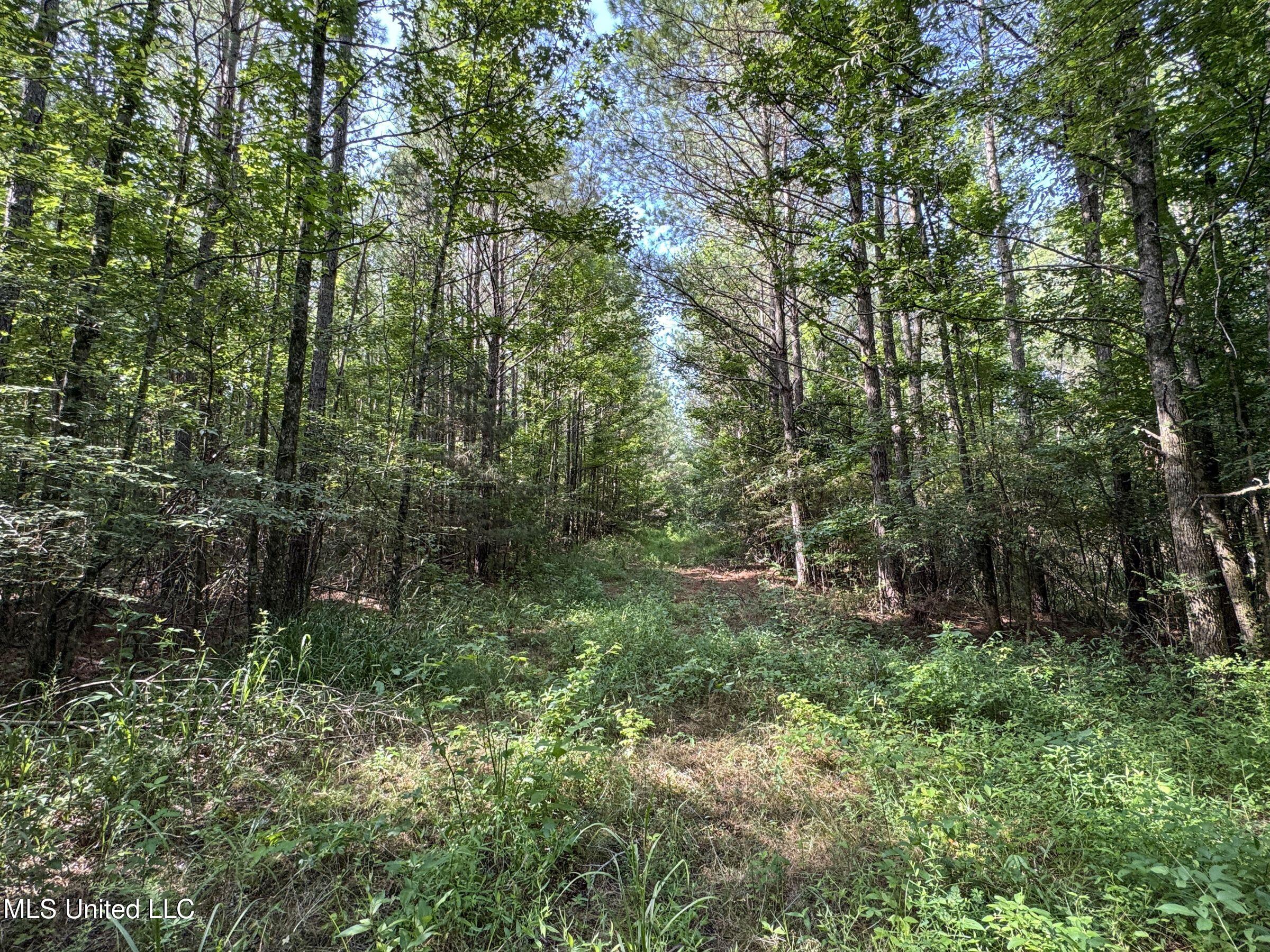 Pine Lodge Road Road Batesville, MS 38606 - Photo 98 of 99 5pleur4
