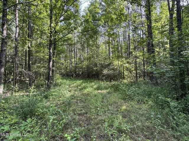 $688,880 | Pine Lodge Road Road, Batesville, MS 38606