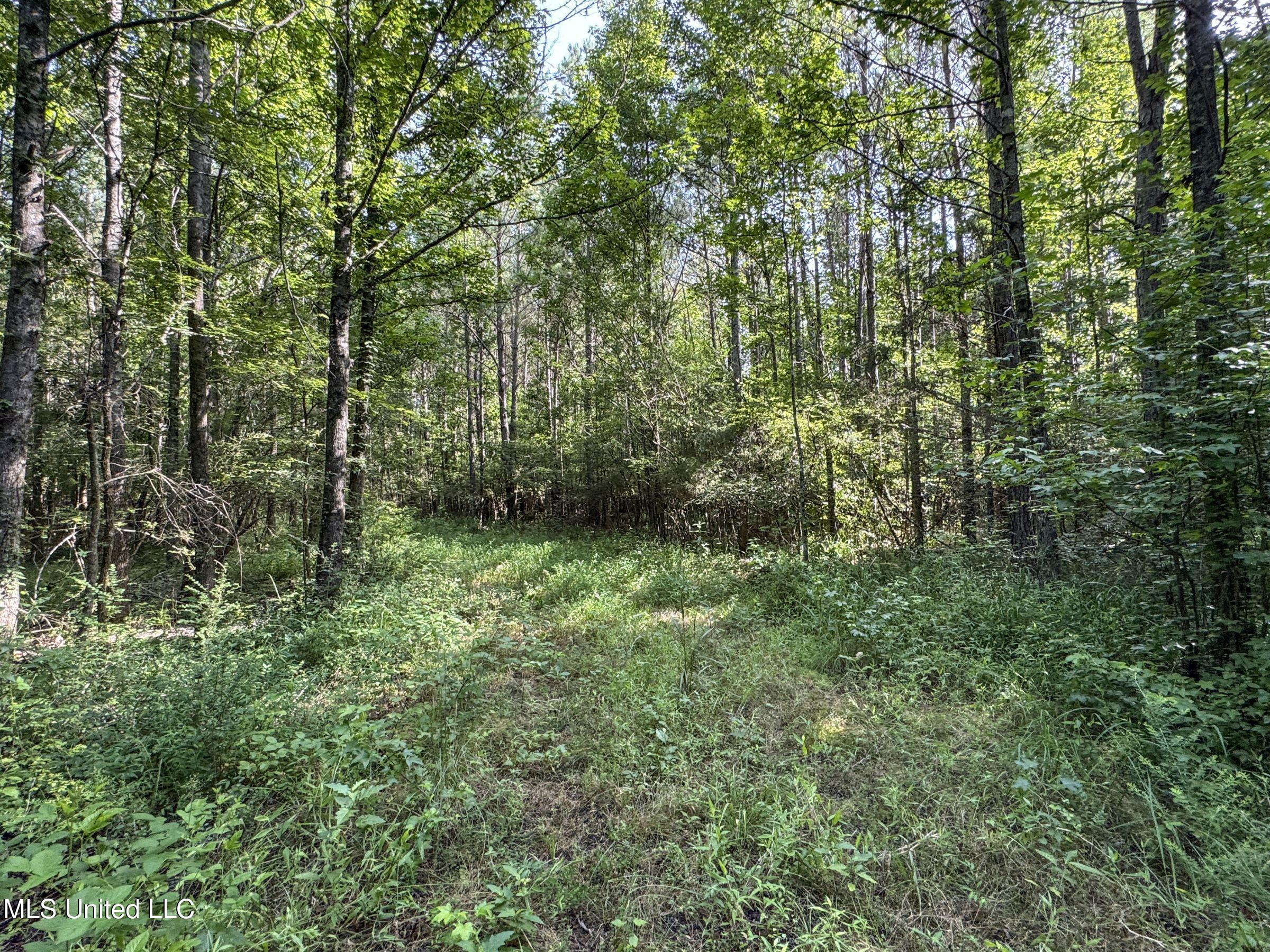 Pine Lodge Road Road Batesville, MS 38606 - Photo 99 of 99 5pleur5