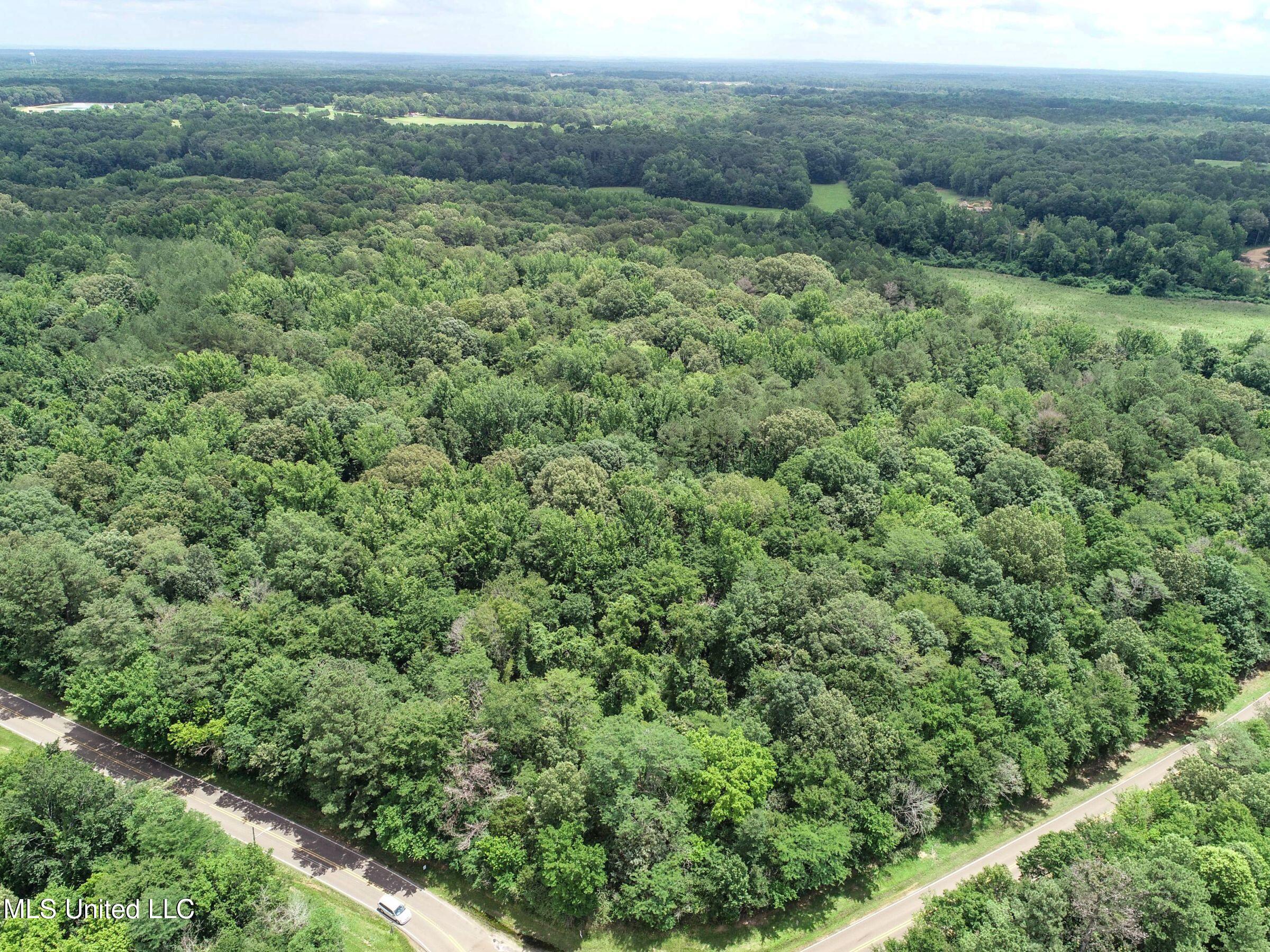 Pine Lodge Road Road Batesville, MS 38606 - Photo 10 of 99 3pleur33