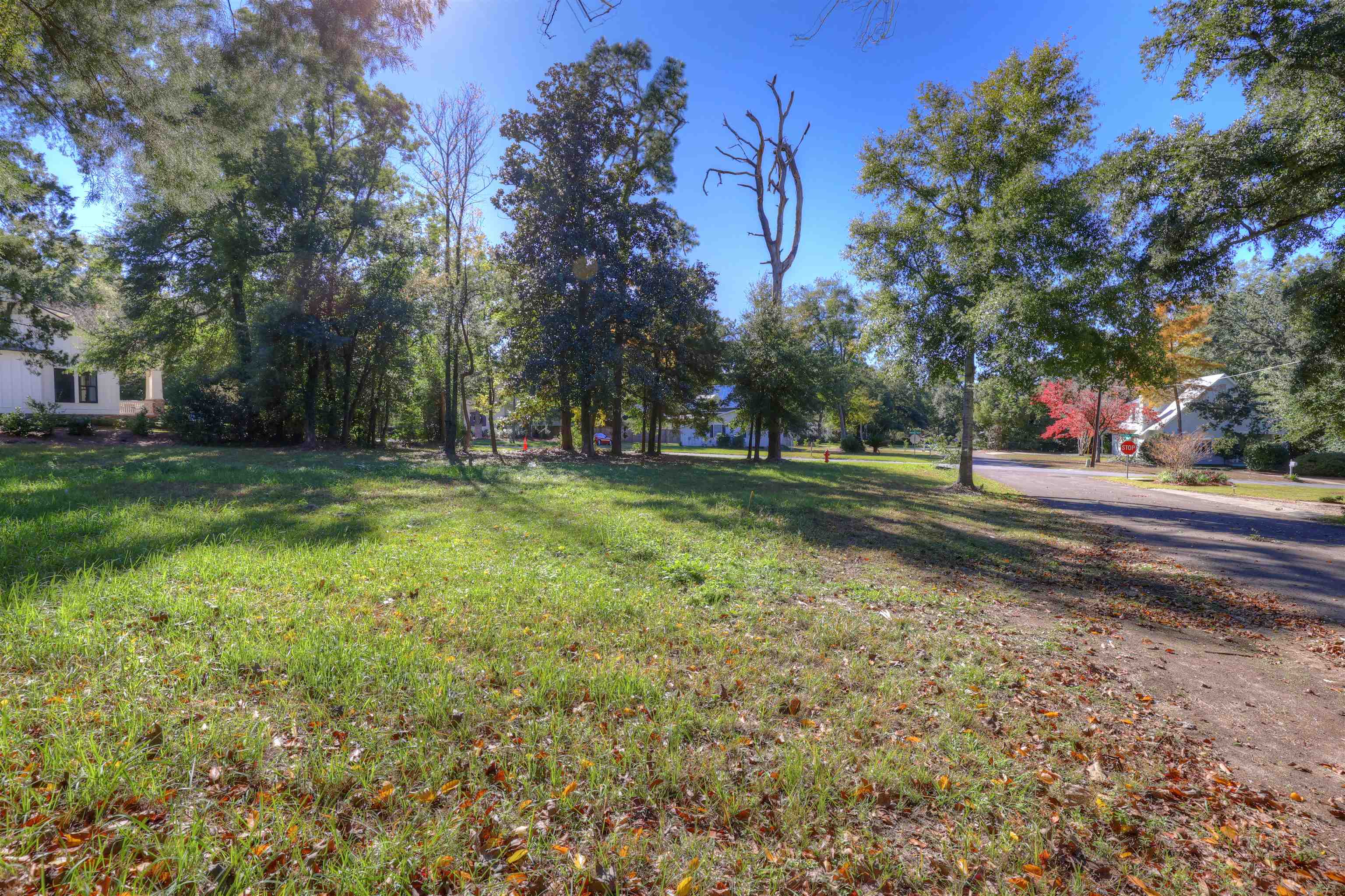 255 George Street Fairhope, AL 36532 - Photo 4 of 4