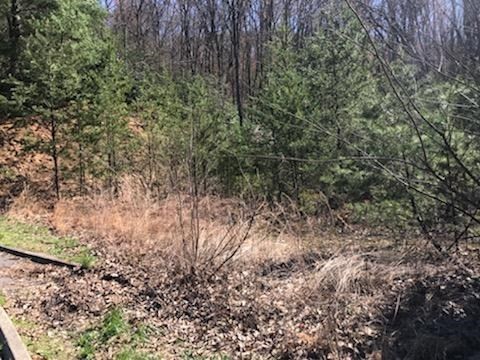 12 Lexy Lane Sevierville, TN 37862 - Photo 4 of 5