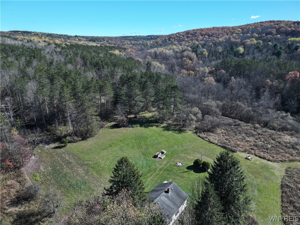 6653 Brainard Hill Road Belfast, NY 14813 - Photo 11 of 14