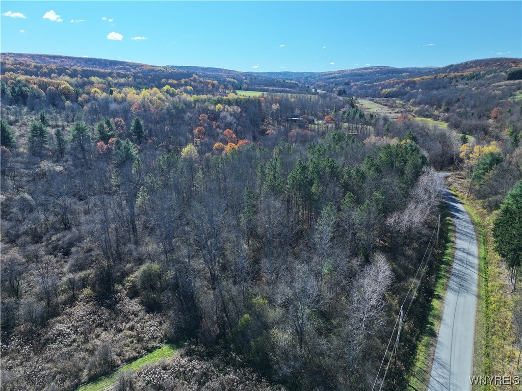 6653 Brainard Hill Road Belfast, NY 14813 - Photo 13 of 14