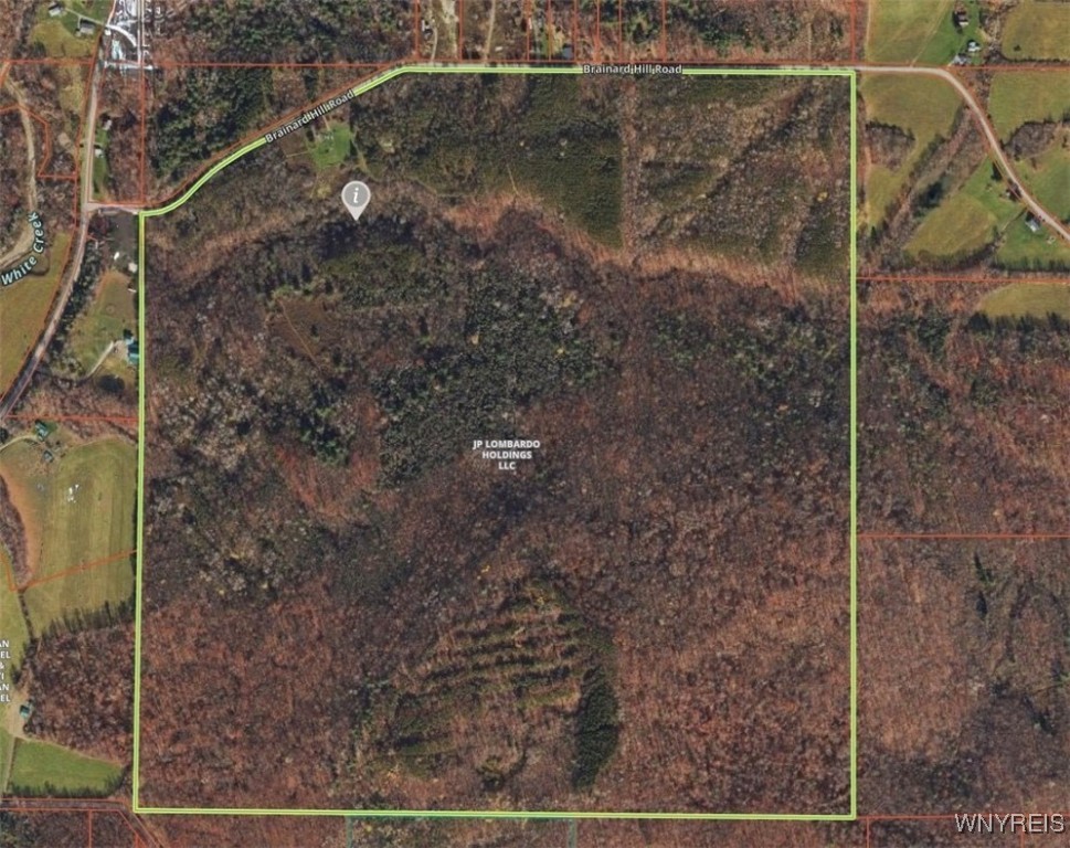 6653 Brainard Hill Road Belfast, NY 14813 - Photo 2 of 14