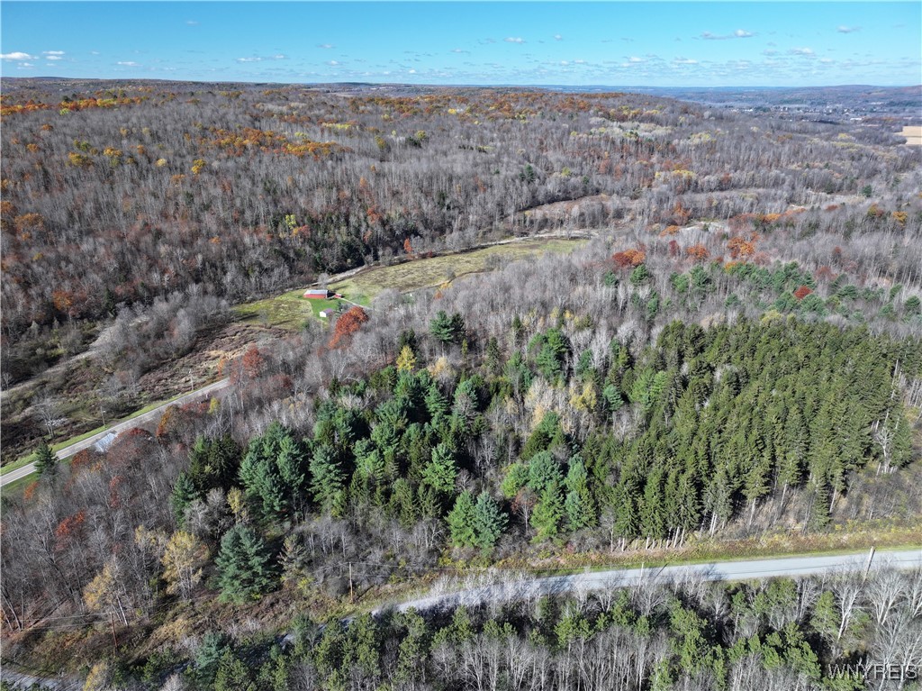 6653 Brainard Hill Road Belfast, NY 14813 - Photo 3 of 14