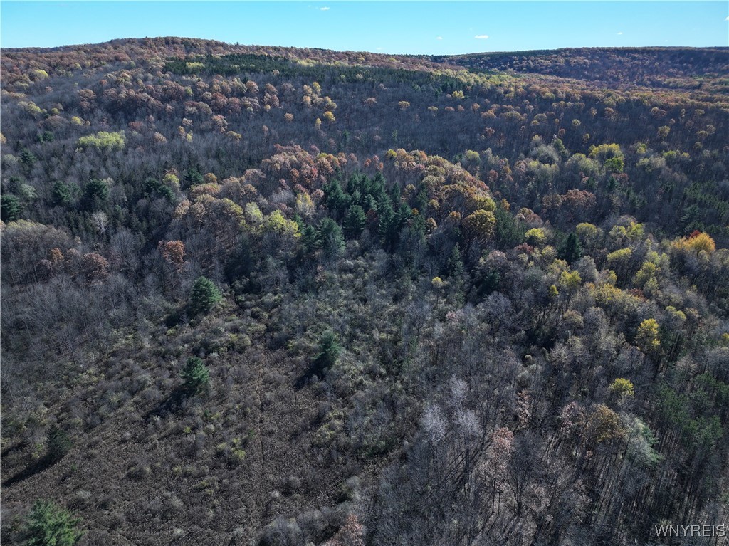 6653 Brainard Hill Road Belfast, NY 14813 - Photo 4 of 14