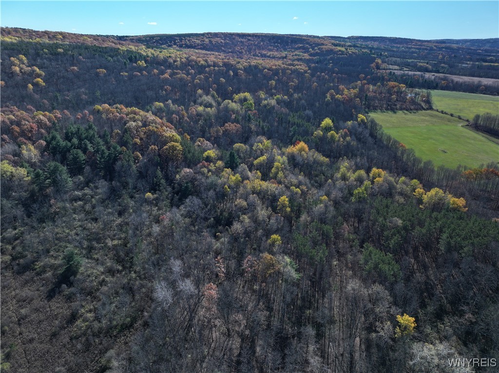 6653 Brainard Hill Road Belfast, NY 14813 - Photo 5 of 14