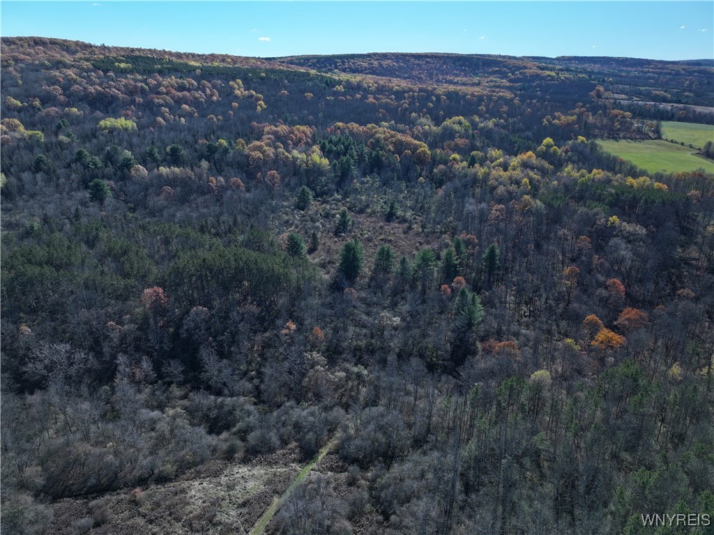 6653 Brainard Hill Road Belfast, NY 14813 - Photo 6 of 14