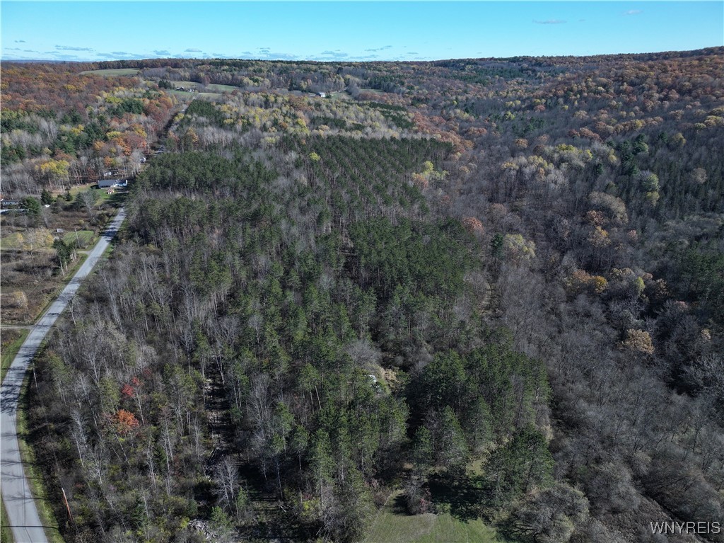 6653 Brainard Hill Road Belfast, NY 14813 - Photo 7 of 14