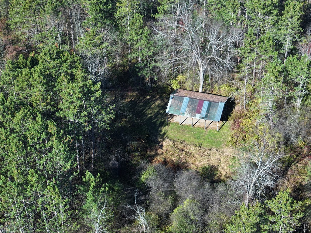 6653 Brainard Hill Road Belfast, NY 14813 - Photo 9 of 14