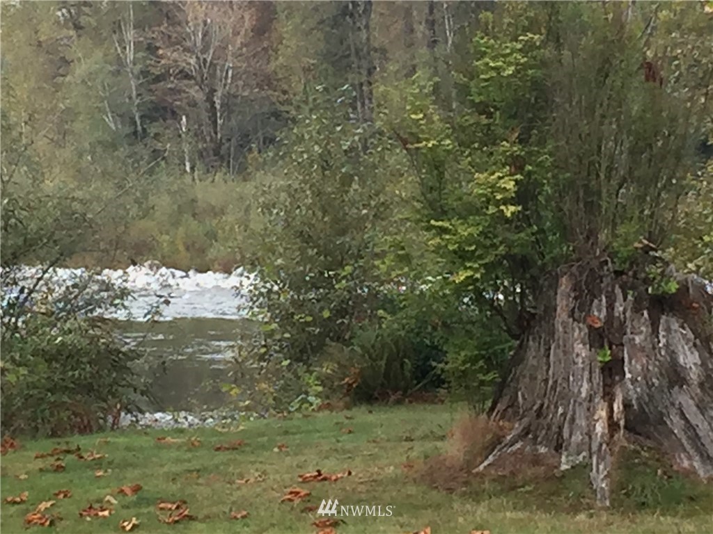 44301 Fir Road Gold Bar, WA 98251 - Photo 20 of 28 Gallery Image 20