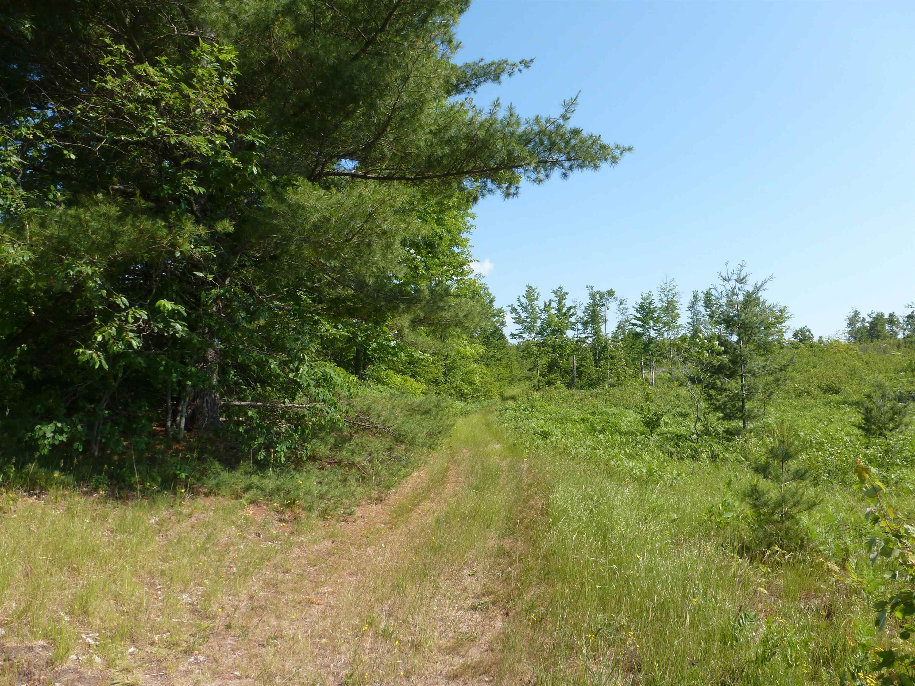0 Summit Road Northeast Kalkaska, MI 49646 - Photo 7 of 11 1915112-6.JPG