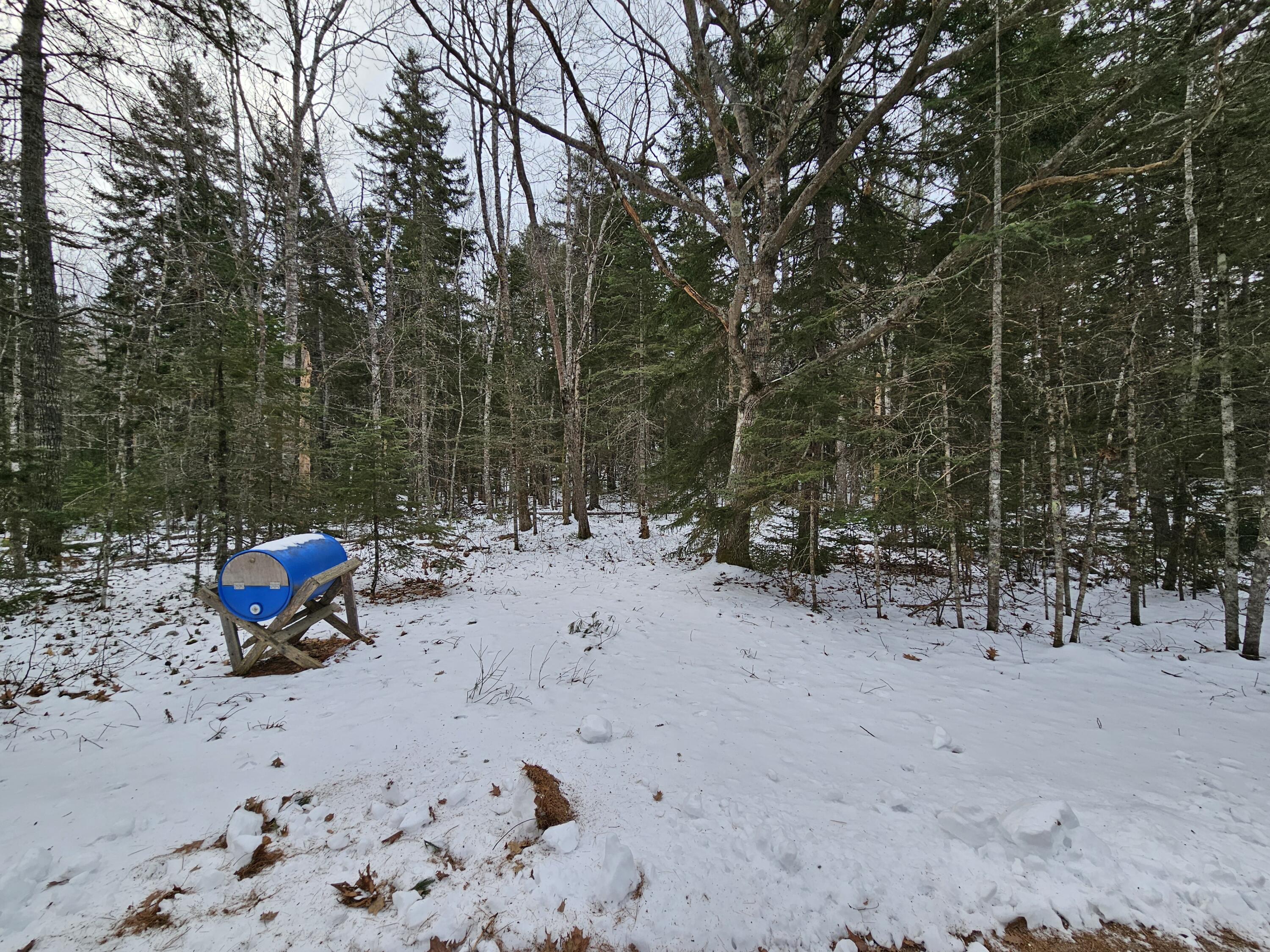 28 Evergreen Point Road Sullivan, ME 04664 - Photo 5 of 11 20240124_093308