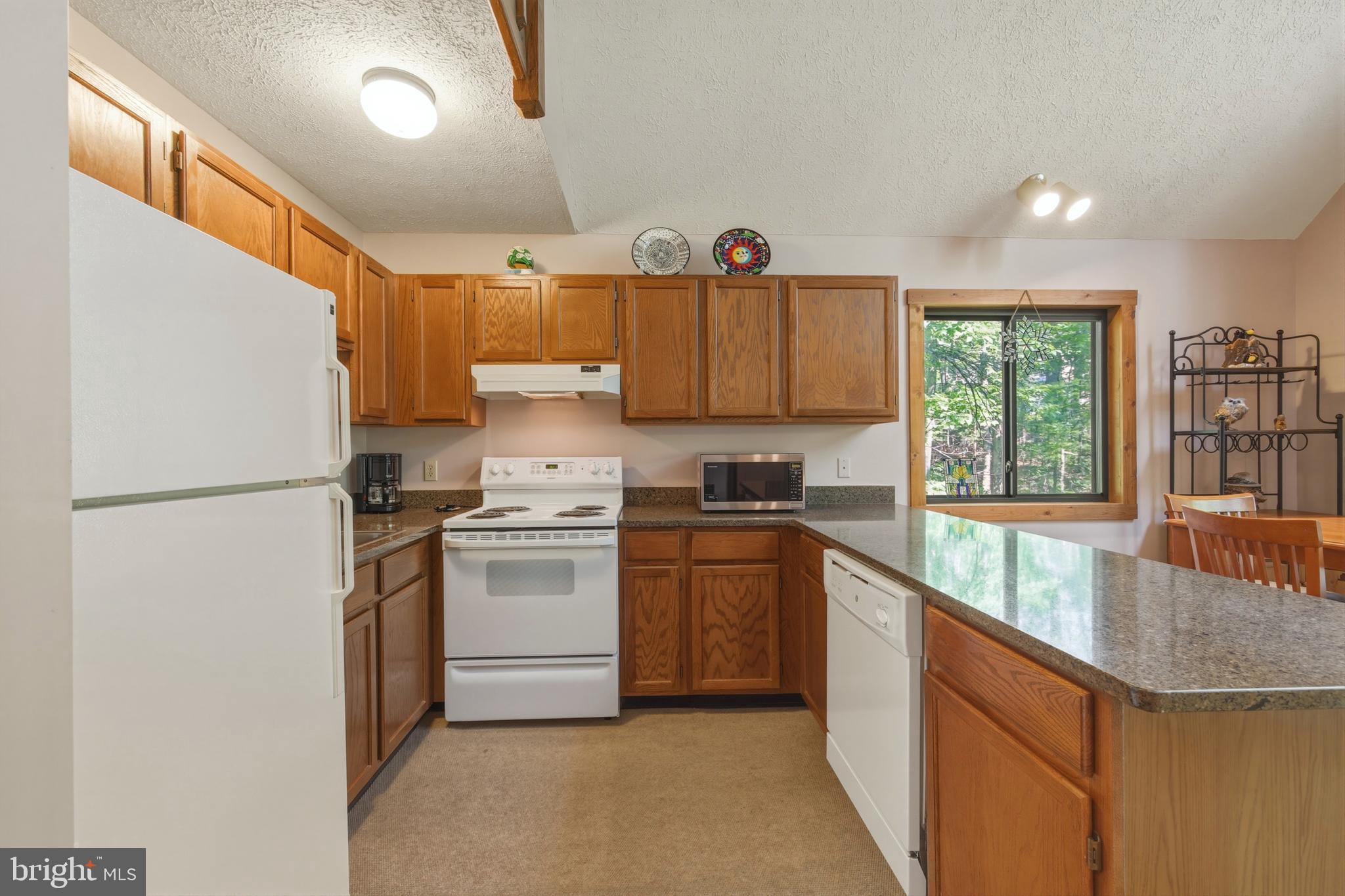 309 Locust Lane Mount Jackson, VA 22842 - Photo 21 of 57 Main Level - Kitchen