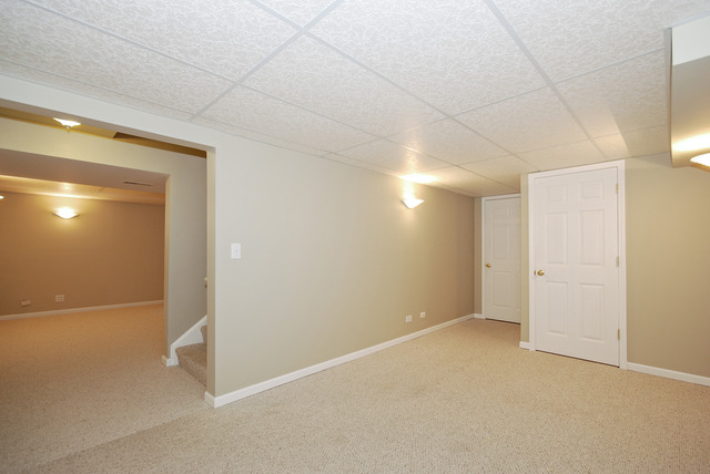 895 Havenshire Road Naperville, IL 60565 - Photo 18 of 23