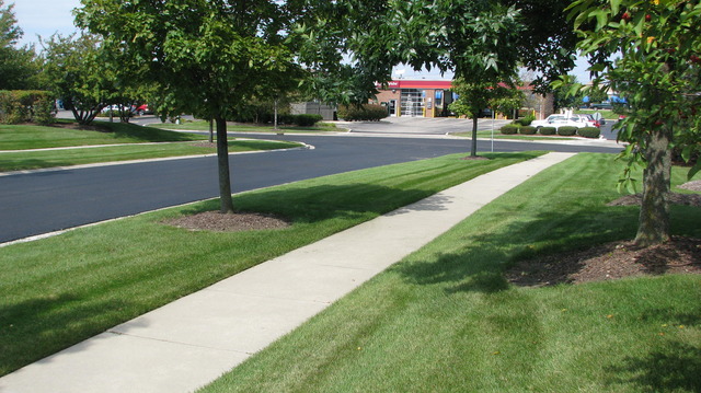 895 Havenshire Road Naperville, IL 60565 - Photo 21 of 23