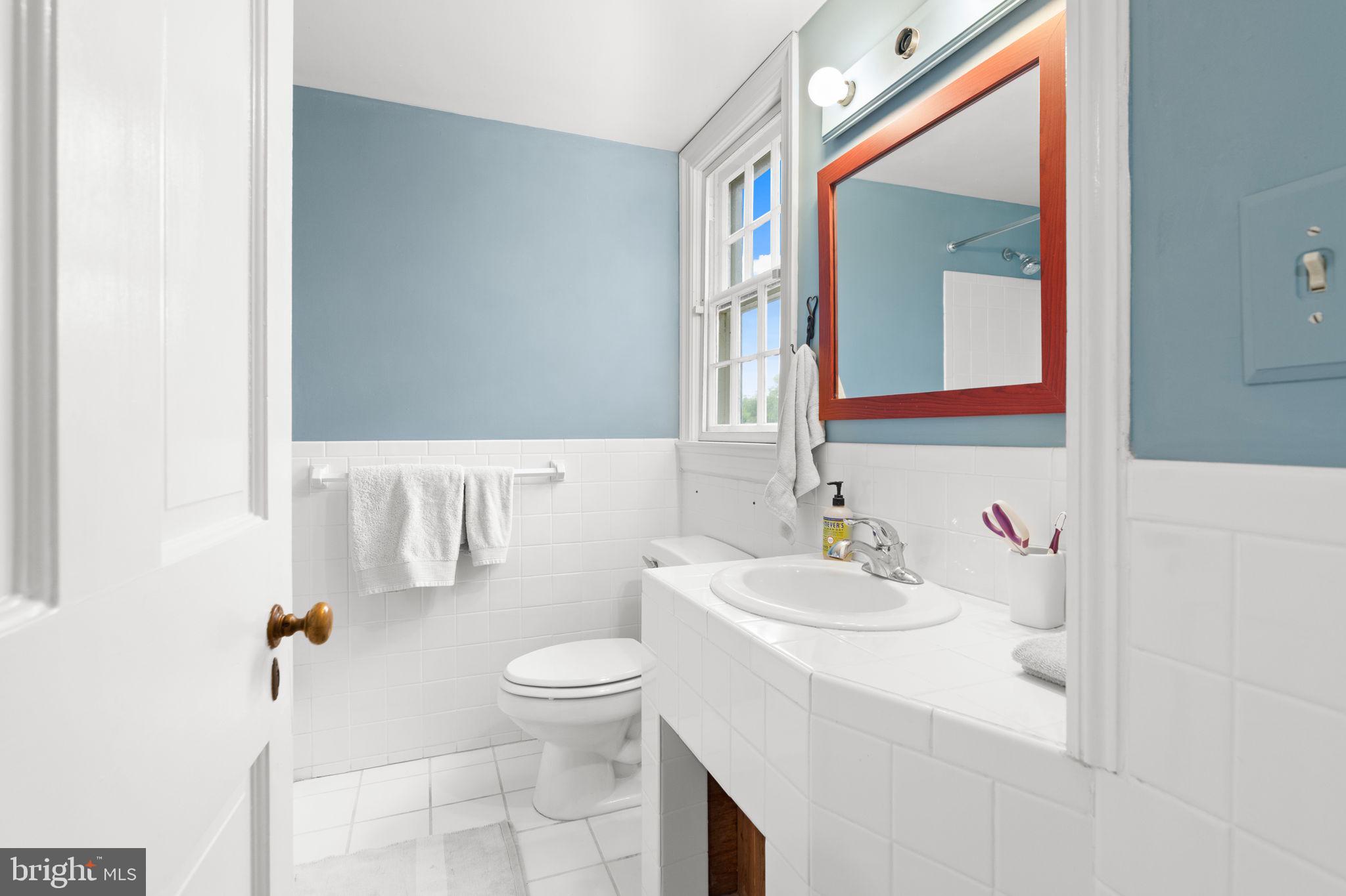 324 North Blue Ridge Turnpike Madison, VA 22727 - Photo 29 of 75 a bathroom with a sink vanity mirror and toilet