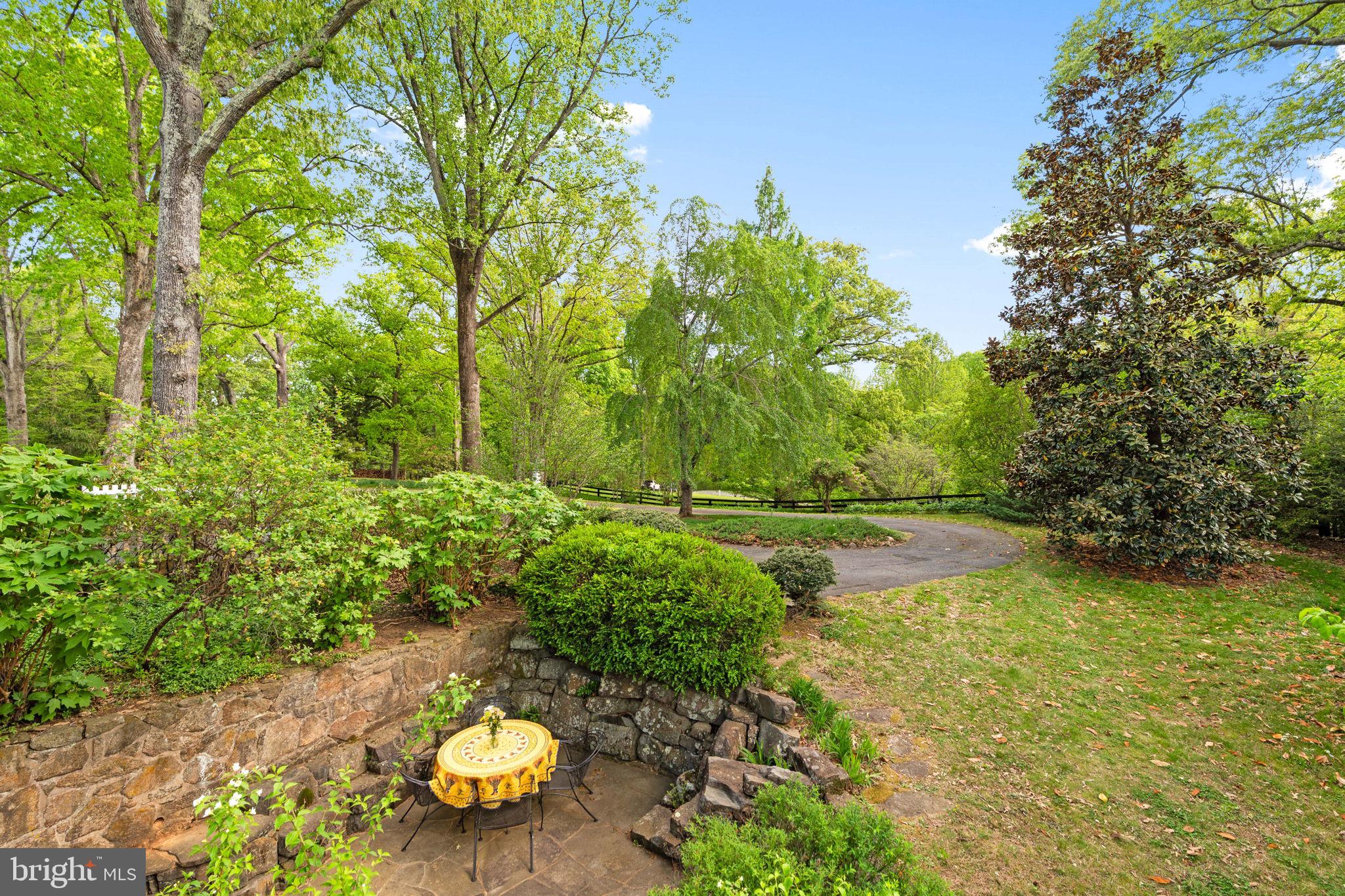 324 North Blue Ridge Turnpike Madison, VA 22727 - Photo 36 of 75 a view of a garden with lawn chairs