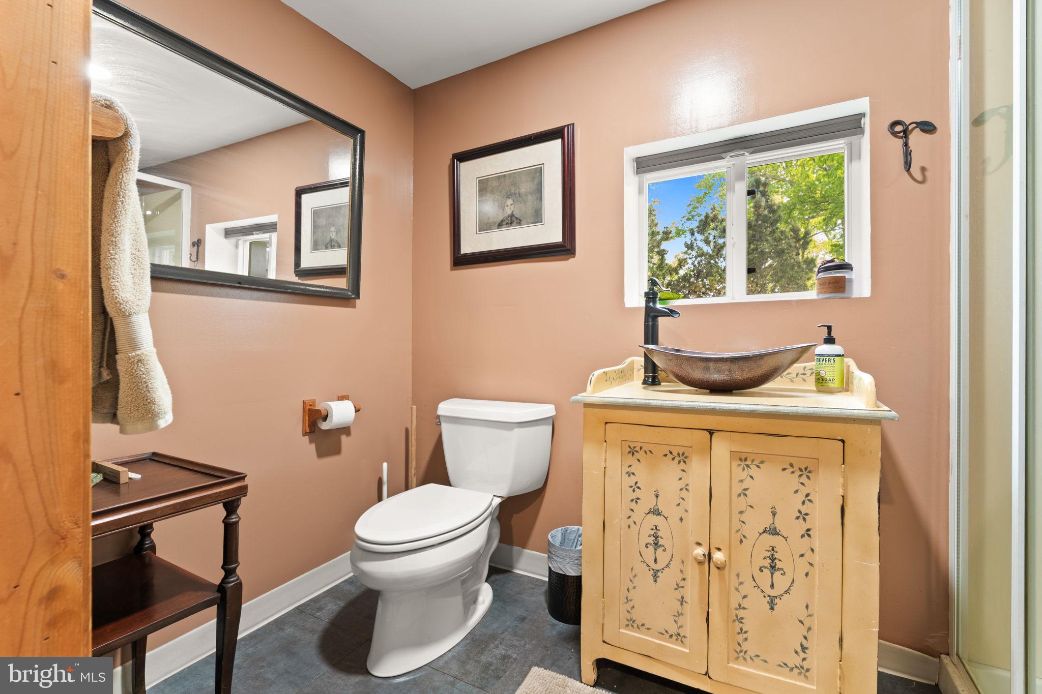 324 North Blue Ridge Turnpike Madison, VA 22727 - Photo 53 of 75 a bathroom with a toilet a sink and a window