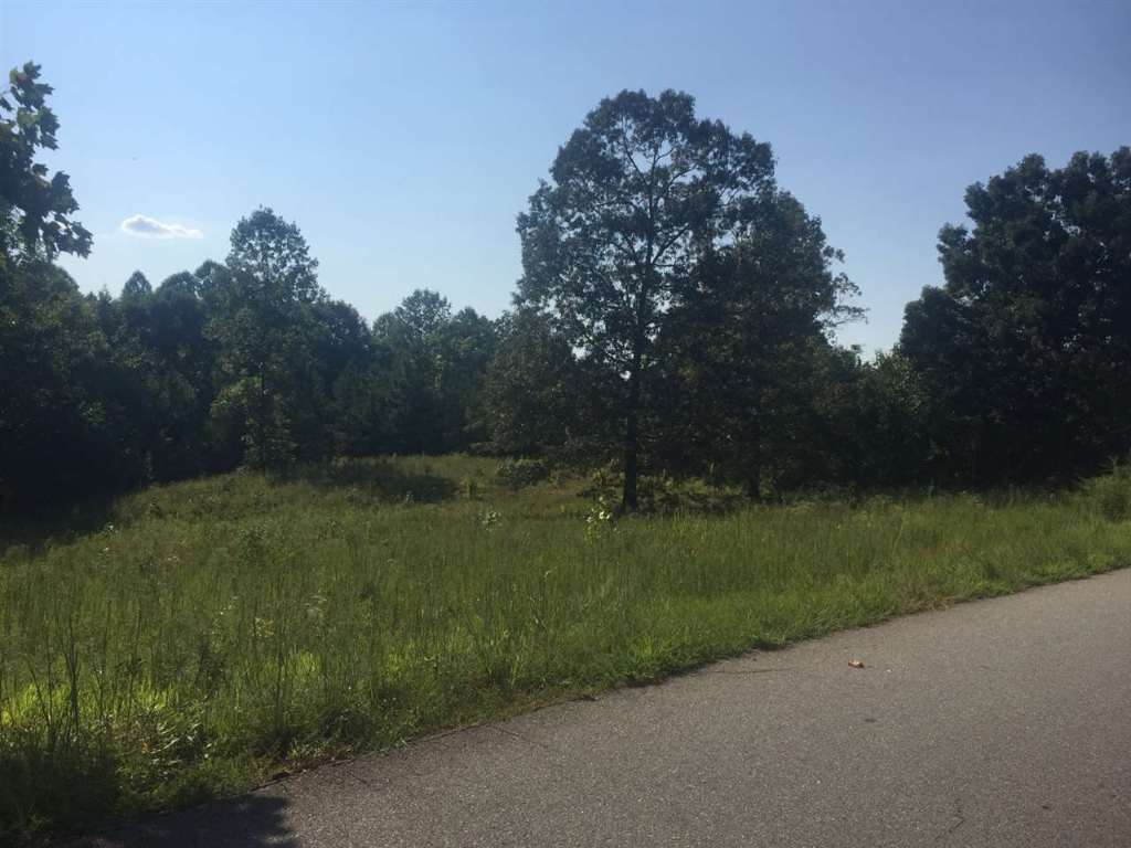 111 Ike Road Six Mile, SC 29682 - Photo 1 of 1 Gallery Image 1
