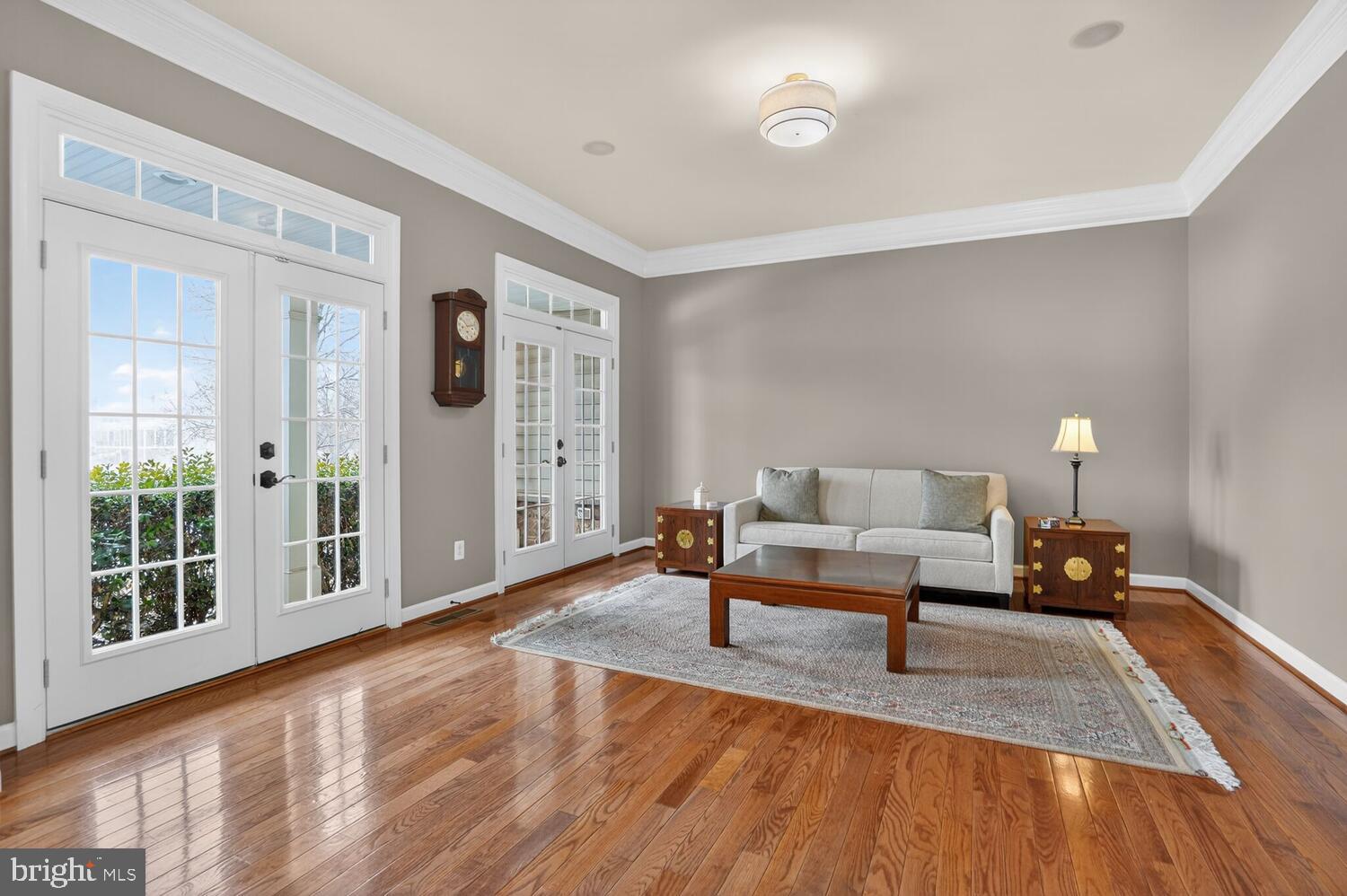 43024 La Riva Drive Ashburn, VA 20148 - Photo 10 of 63 a living room with furniture rug and window