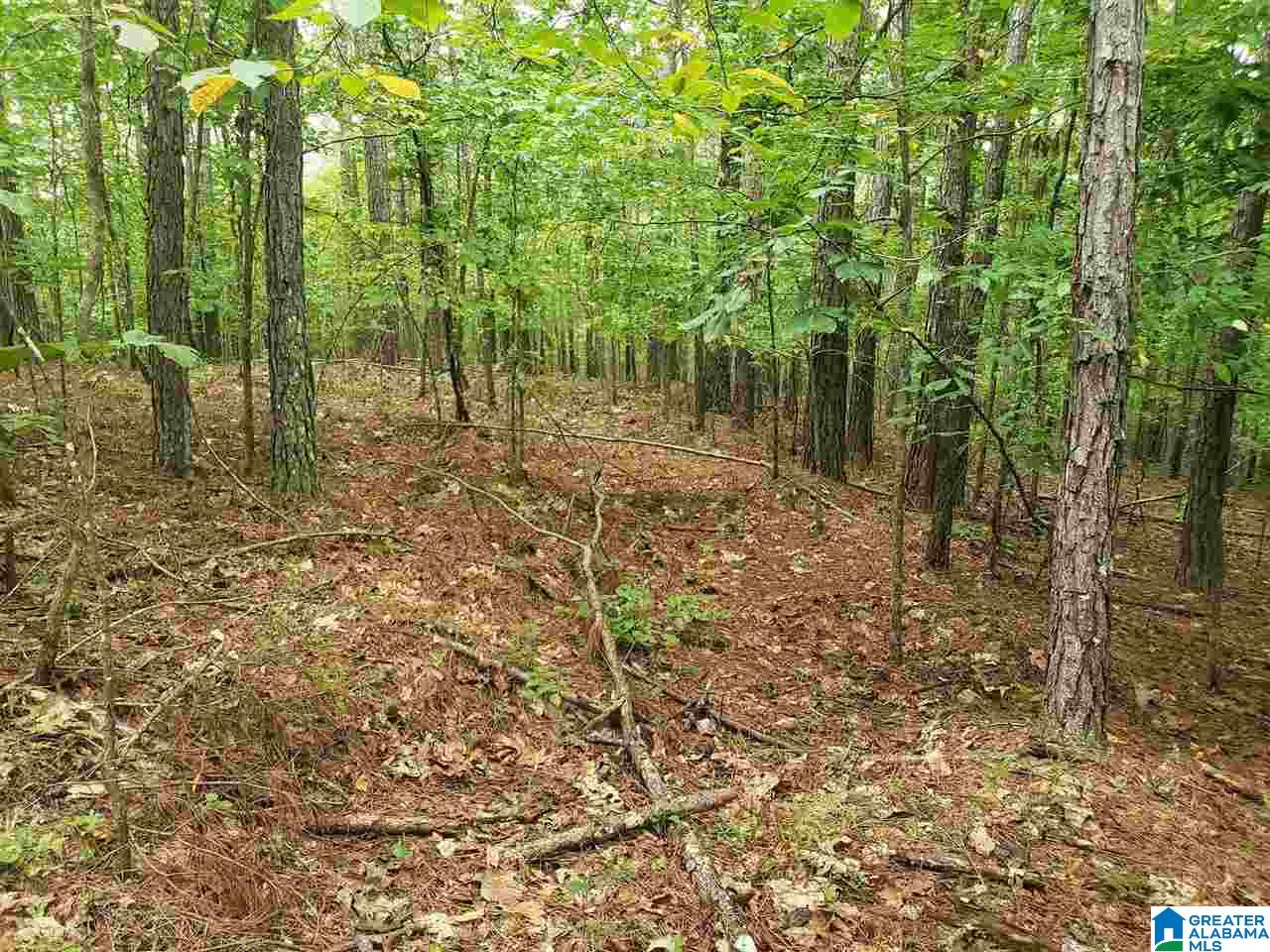 2229 County Road 82 Fruithurst, AL 36262 - Photo 9 of 12