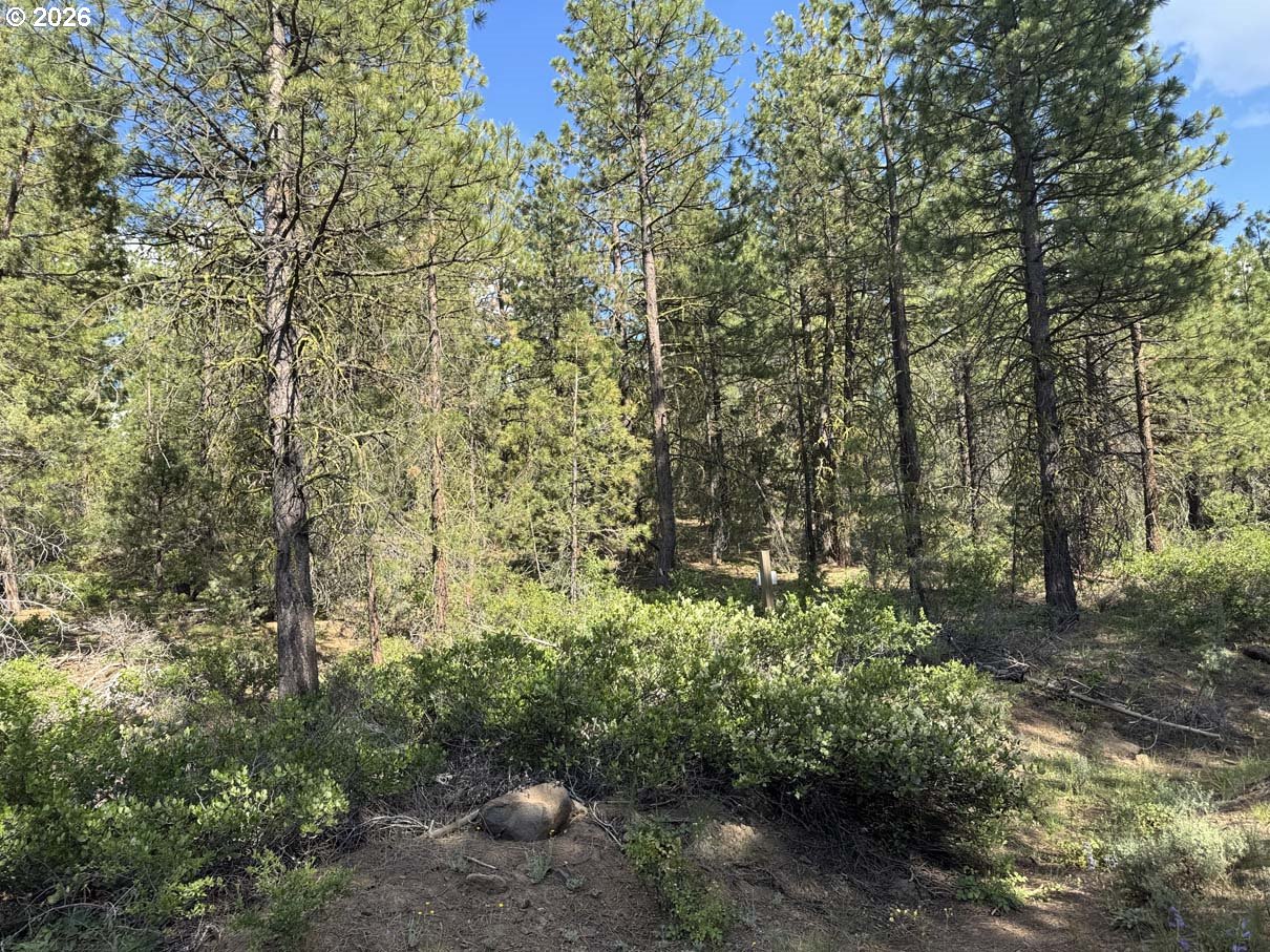 Bunting Way, Unit 32 Bonanza, OR 97623 - Photo 23 of 45