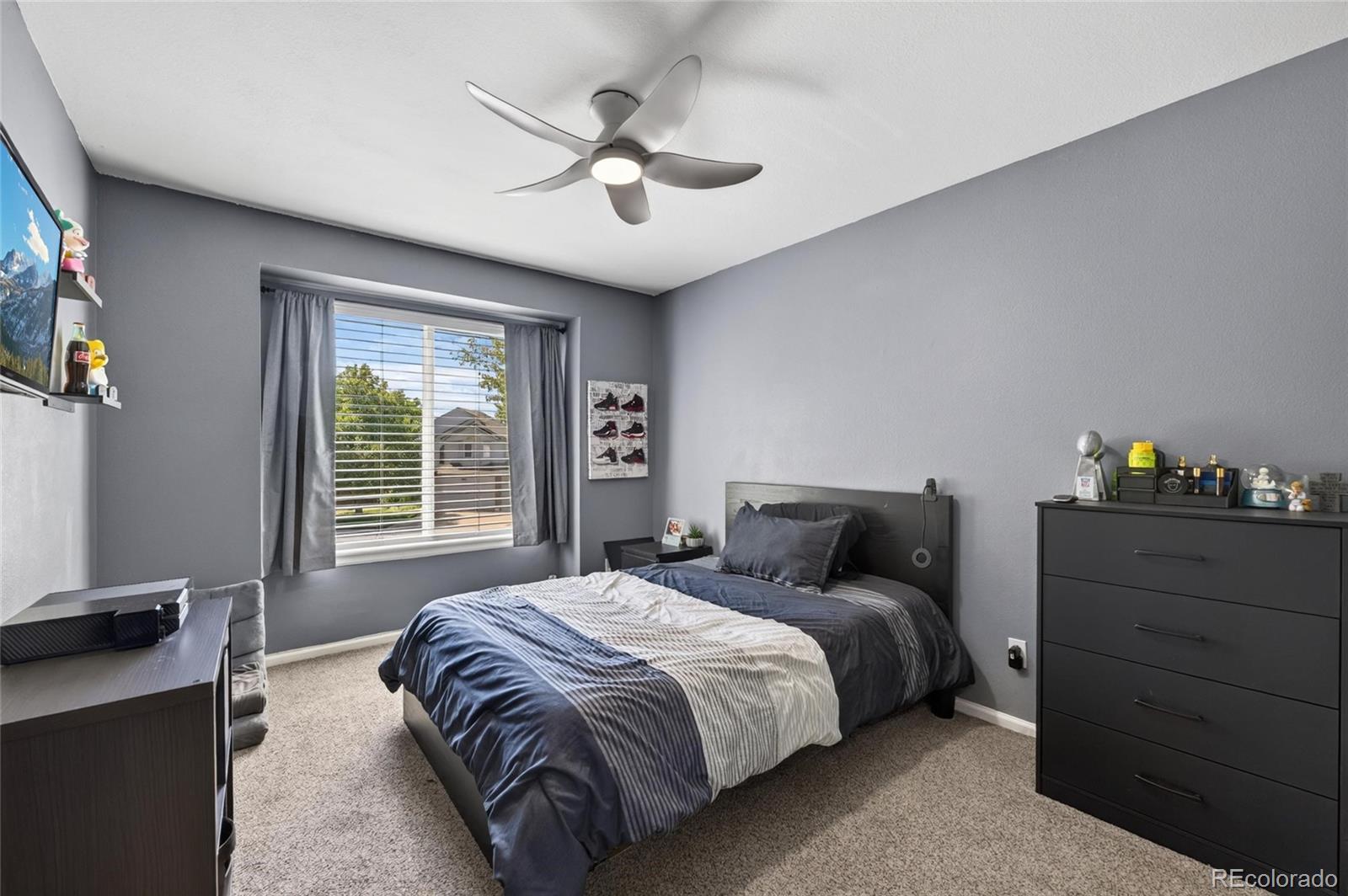 9924 Silver Maple Way Highlands Ranch, CO 80129 - Photo 25 of 44 Gallery Image 25