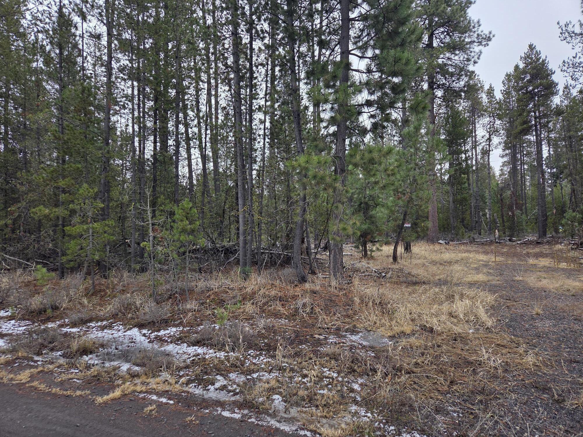 15627 Rim Drive La Pine, OR 97739 - Photo 5 of 9 a view of a forest with trees in the background