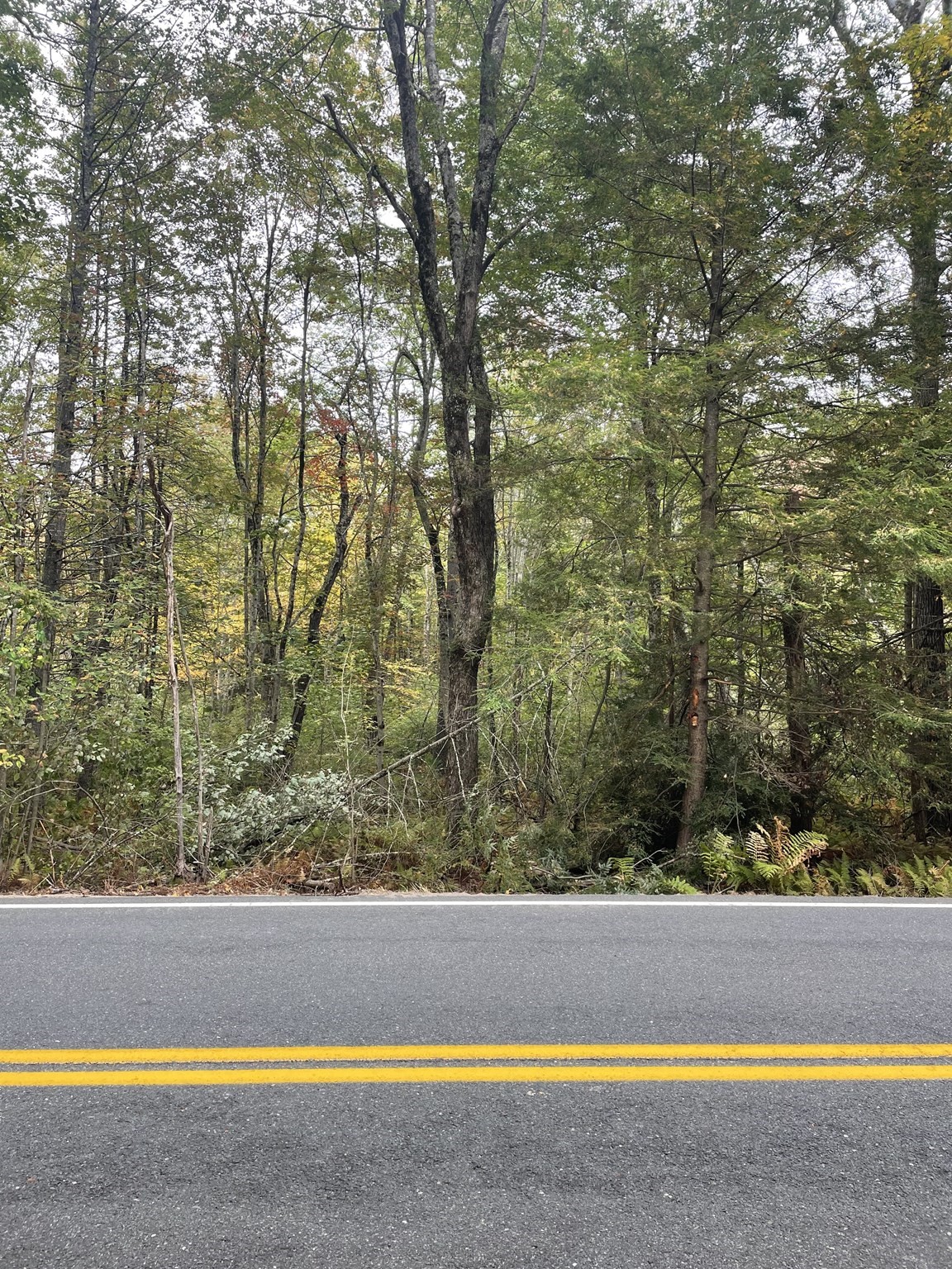 0 South Chesterfield Road Williamsburg, MA 01096 - Photo 4 of 4 Gallery Image 4