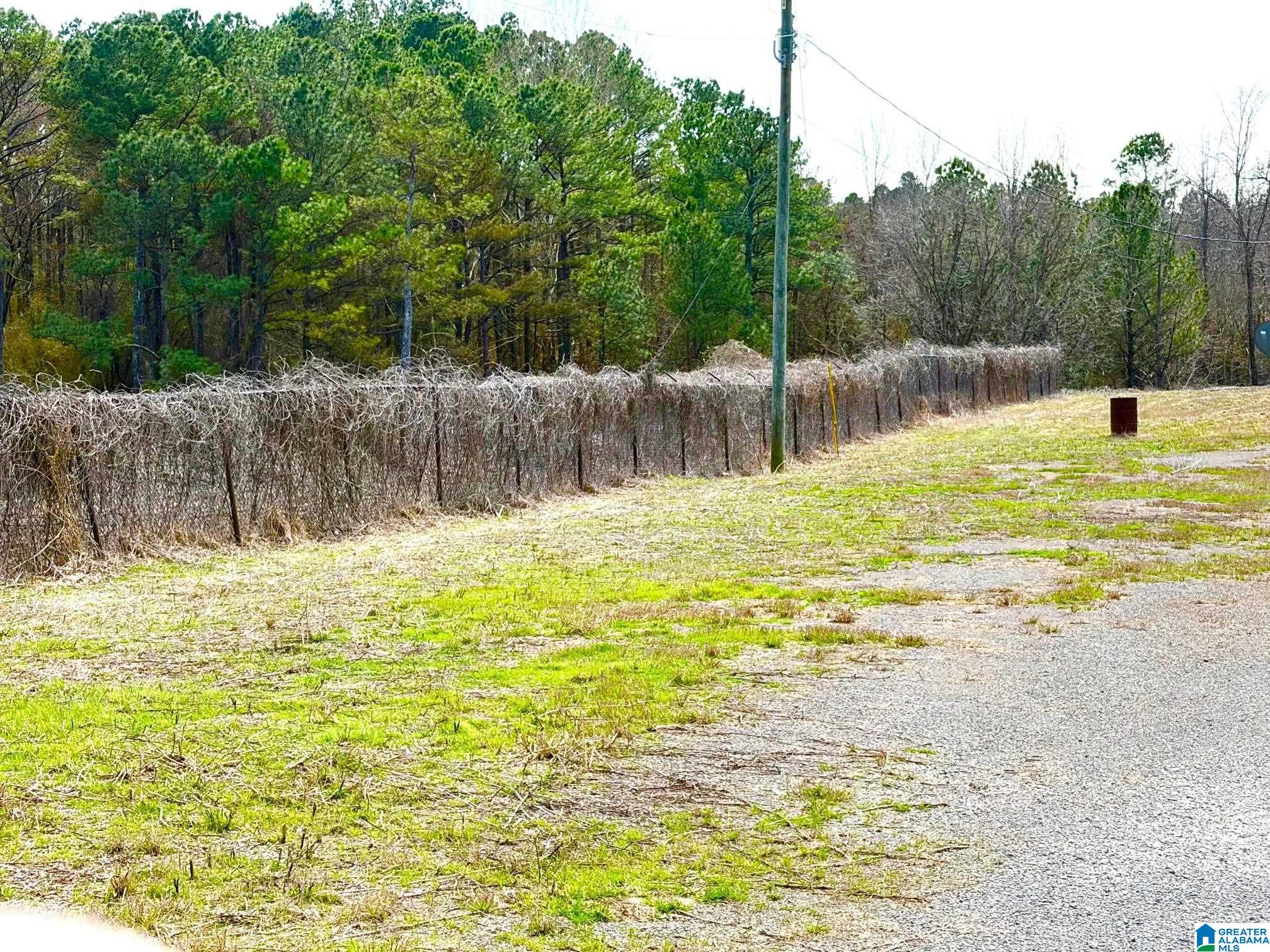 0 County Line Road Trafford, AL 35172 - Photo 5 of 11