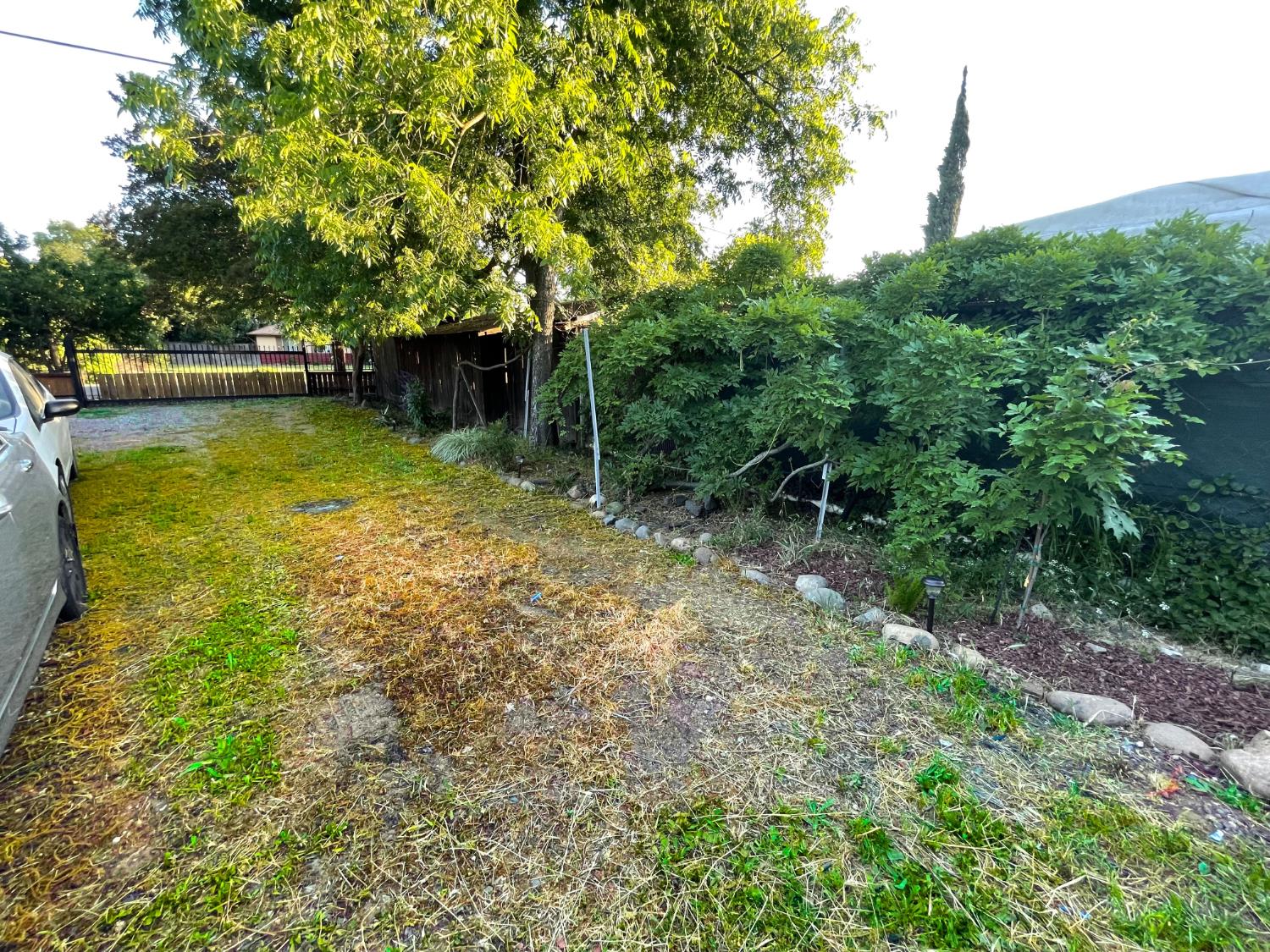5121 Kenneth Avenue Carmichael, CA 95608 - Photo 24 of 38 a view of yard with green space