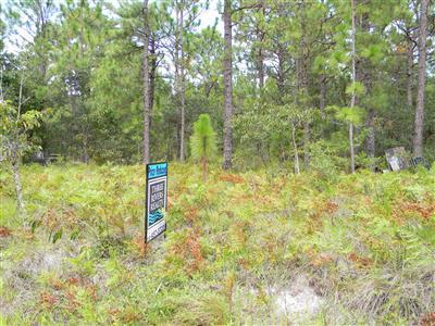 270 Blackhawk Road Southport, NC 28461 - Photo 1 of 3 Primary Photo
