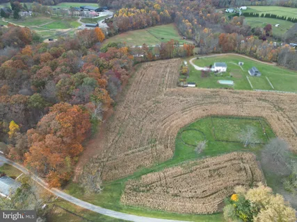 a view of a yard