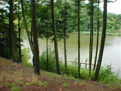3490 Riverside Drive Saugatuck, MI 49453 - Photo 3 of 9 Additional Photo